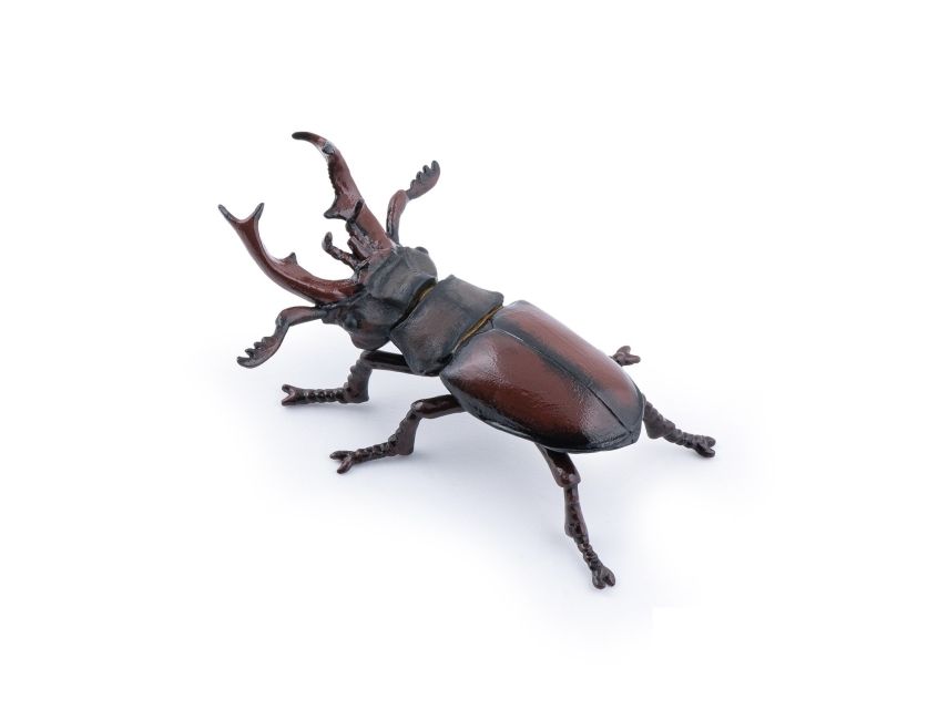 Papo 50281, Garden Animals, Braun