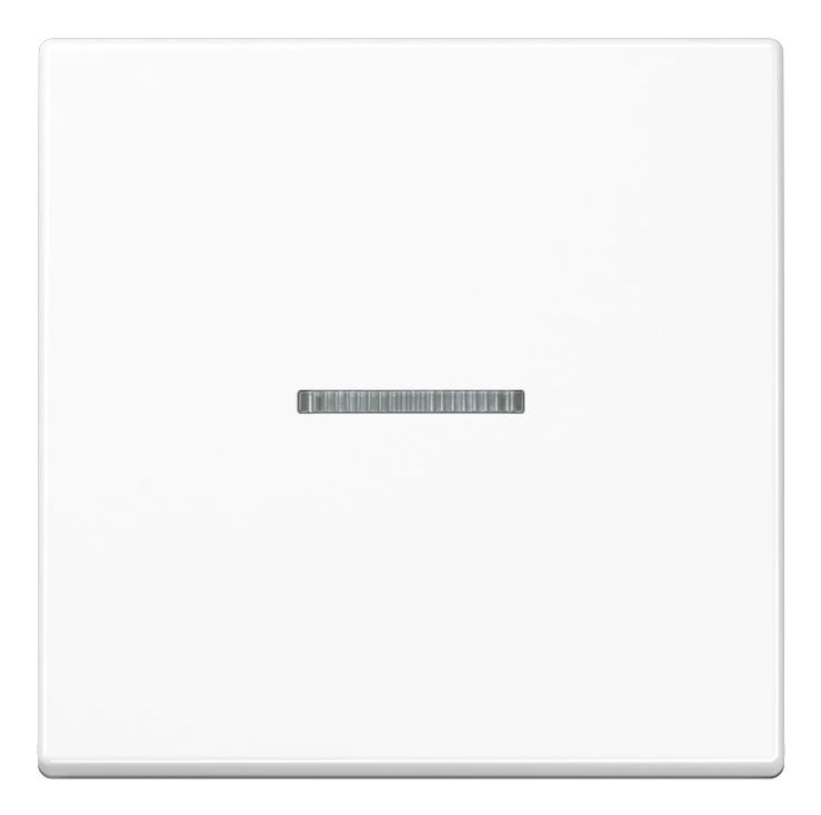 Jung Bta17101ww, Taster, Weiß, Duroplast, 2402 - 2480 Mhz, 30 M, Wand