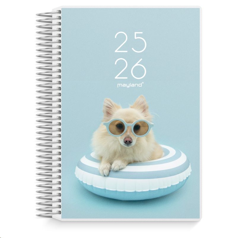 Dagkalender Studie Stor 2I1 Med Klap 2025/2026