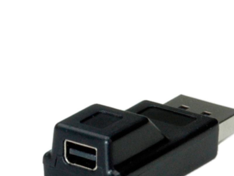 Roline Displayport Adapter, Dp St - Mini Dp Bu, Schwarz