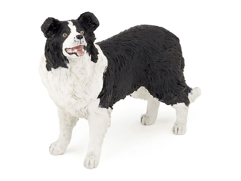 Papo Border Collie