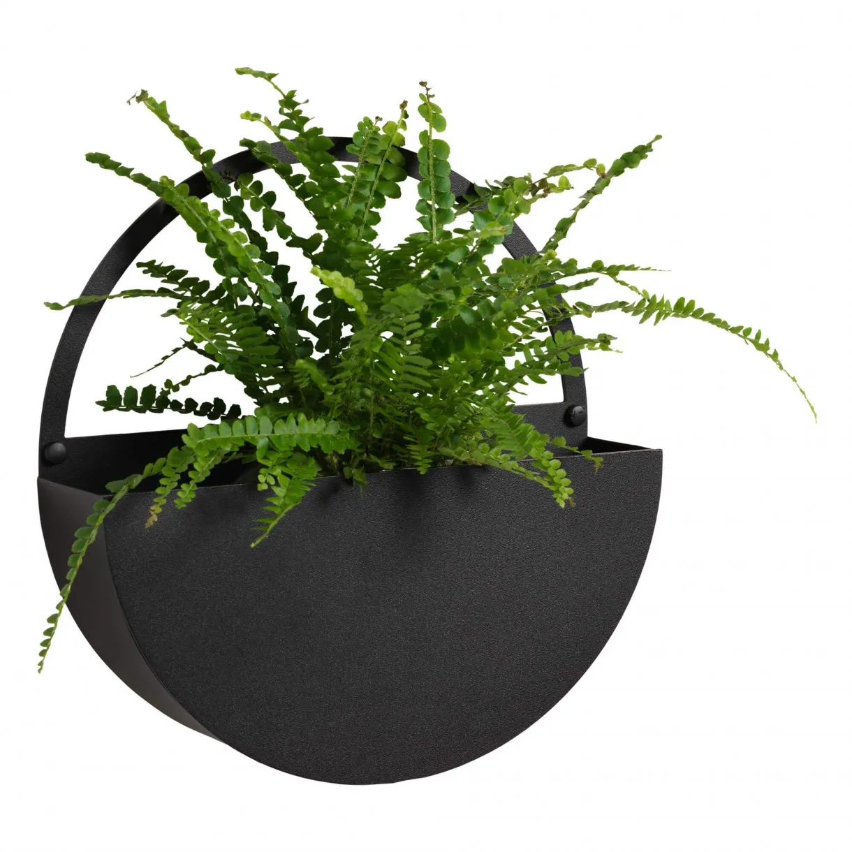 Circle Plant holder Ø 25 cm. Black | Kontorsmaterial - Kontorstillbehör | GameStuff