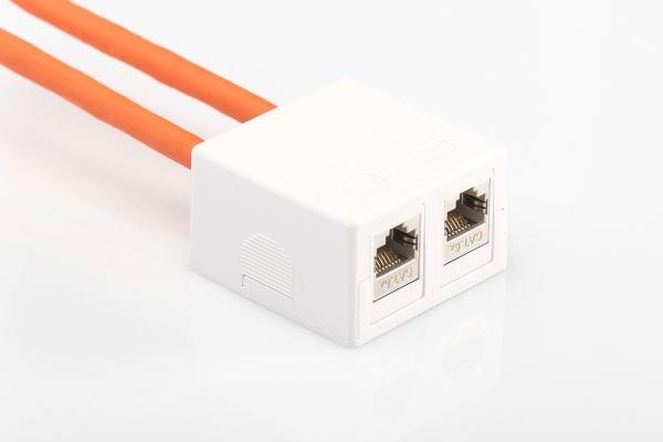 DIGITUS Professional AT-AG 302A-WH - Chassi med modulär insättning - vit, RAL 9010 - 2 portar | EL Artiklar - Andra EL - Pluggar och uttag | GameStuff