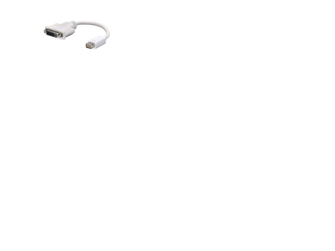 Lindy Mini-Dvi To Dvi-D Cable, 0,20 M, Mini-Dvi, Dvi-D, Weiß