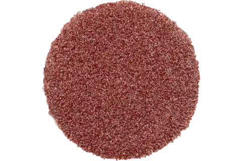 Pferd Self-Adhesive Abrasive Discs, 1,2 Cm, 100 Stk