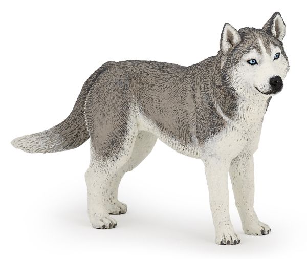 Papo Siberian Husky