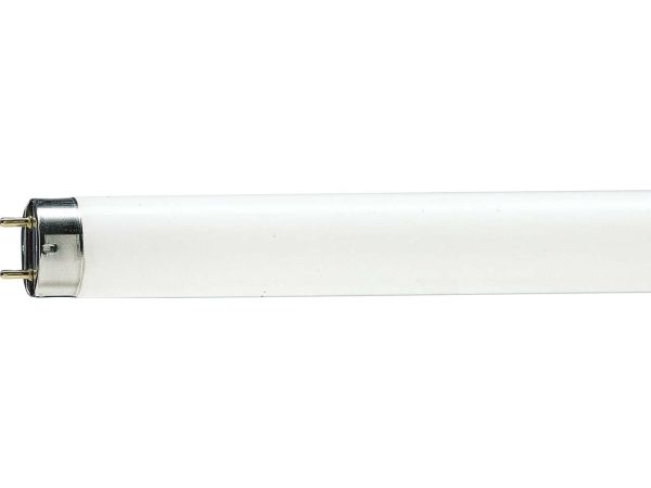 Philips MASTER TL-D Food, 58,5 W, G13, T8, 2800 lm, Hvid
