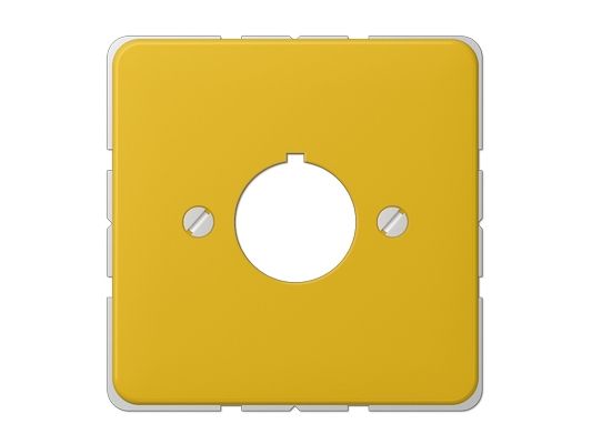 Jung 564 Ge, Gelb, Duroplast, Jung