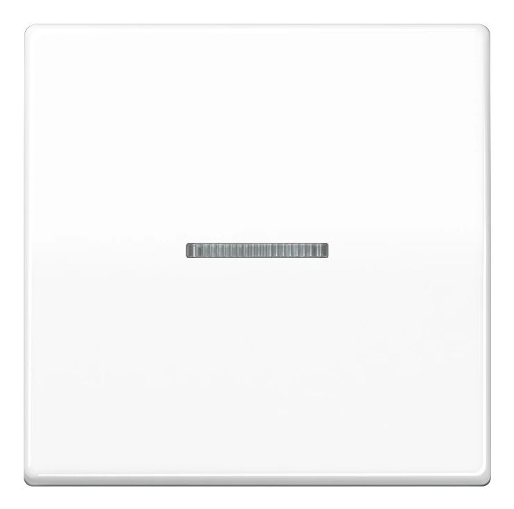 Jung Btas17101ww, Taster, Weiß, Duroplast, 2402 - 2480 Mhz, 30 M, Wand