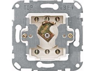 Merten 318601, 2P, Aluminium, 250 V, 10 A