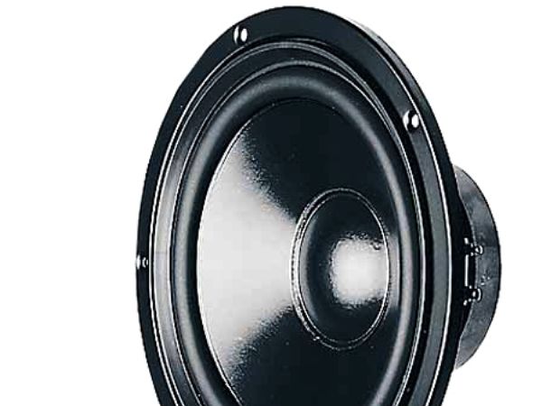Visaton W 200 S 8 OHM - Højttalerdriver - 75 Watt