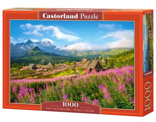 Castorland Hala Gasienicowa, Tatras, Poland 1000 Pcs, 1000 Stück(E), Landschaft, 9 Jahr(E)