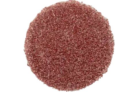 Pferd Self-Adhesive Abrasive Discs, 1,2 Cm, 100 Stk