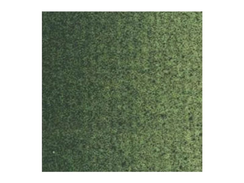 Van Gogh Oliemalingsrør Green Earth 629