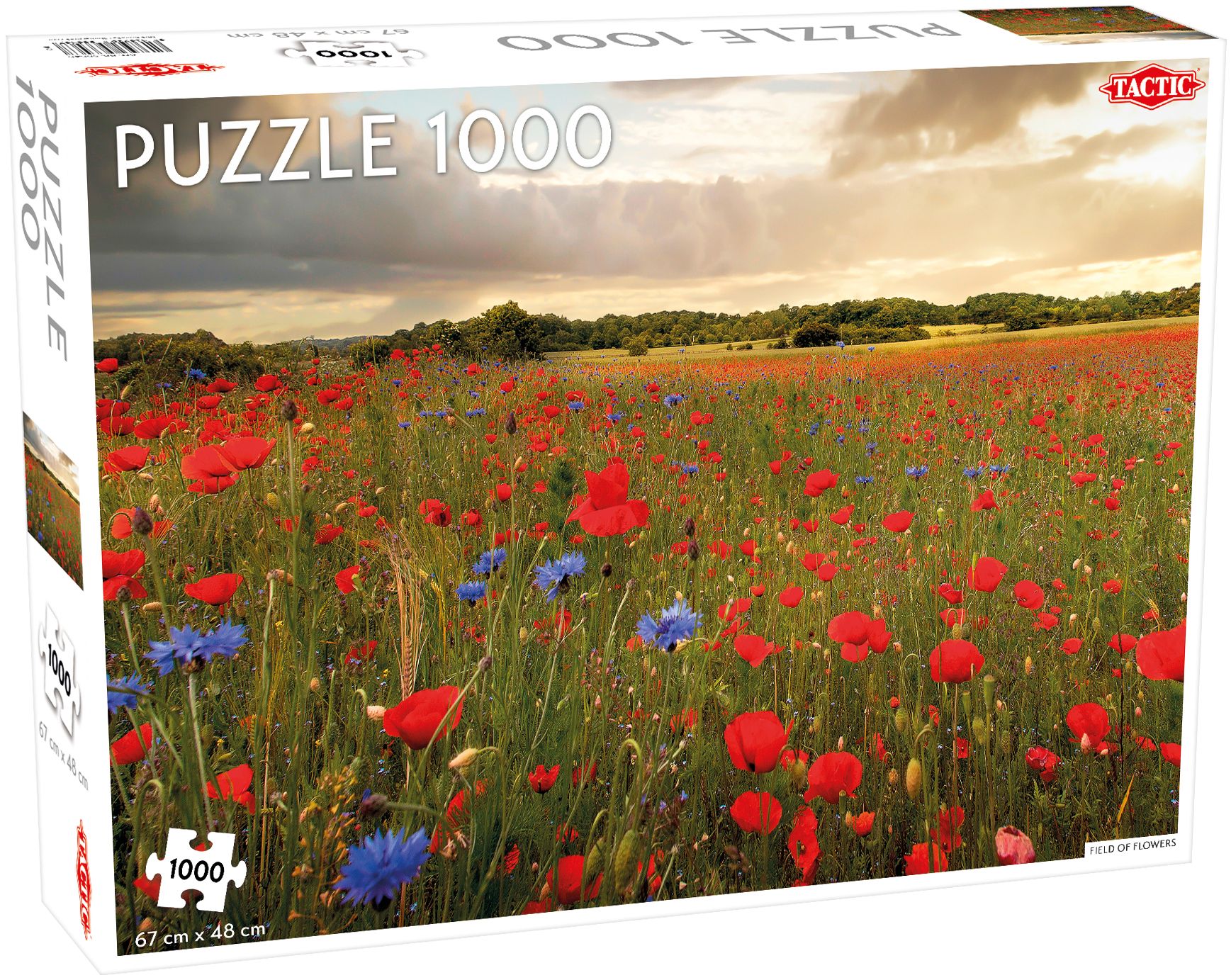 Puslespill 1000 Brikker - Blomstereng