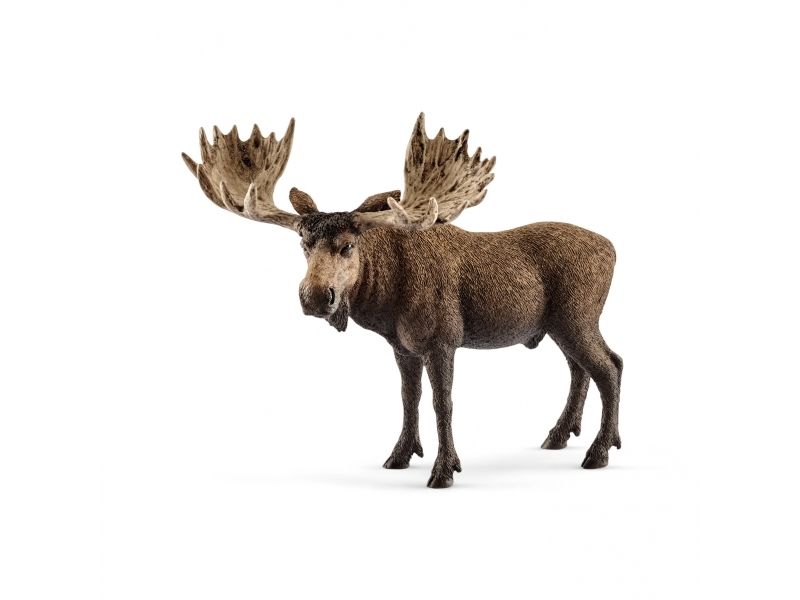 Schleich Moose Bull