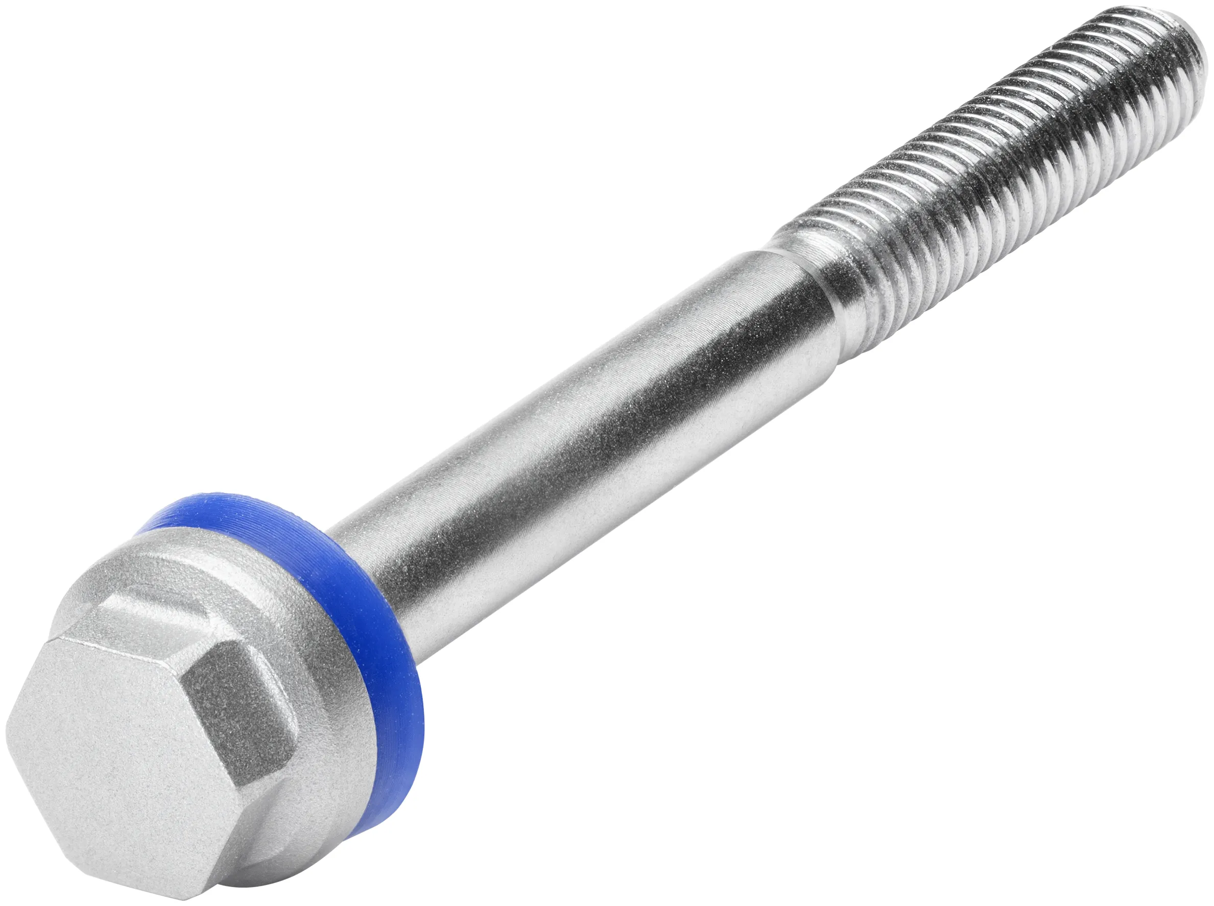 Siemens Befestigungsschraube M5, Hygiene Design, 132 G