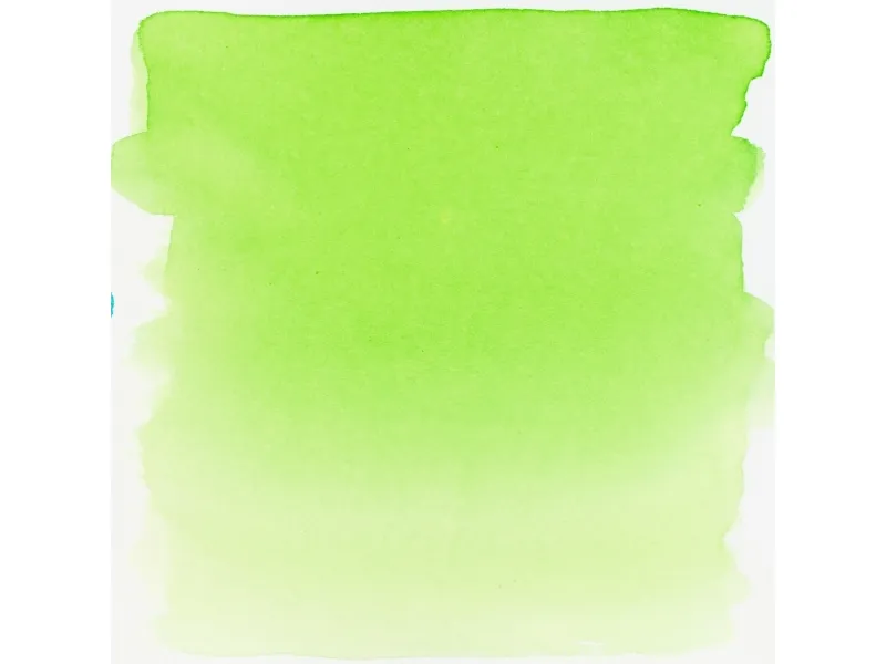 Ecoline Liquid Watercolour Bottle Light Green 601