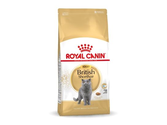 Royal Canin British Shorthair Adult Katzentrockenfutter 4 Kg