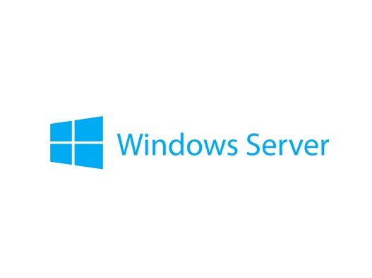 Microsoft Windows Server 2019 - Licens - 1 enhed CAL - OEM - for ThinkSystem SR250 SR530 SR590 SR630 SR645 SR650 SR665 ST250 ST50 ST550