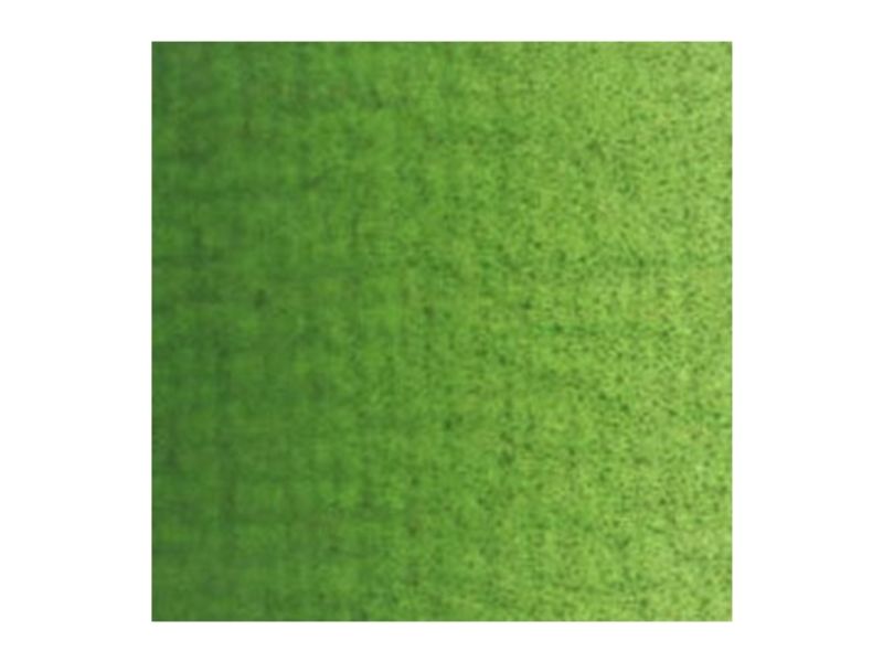 Van Gogh Ölfarben Tube Sap Green 623