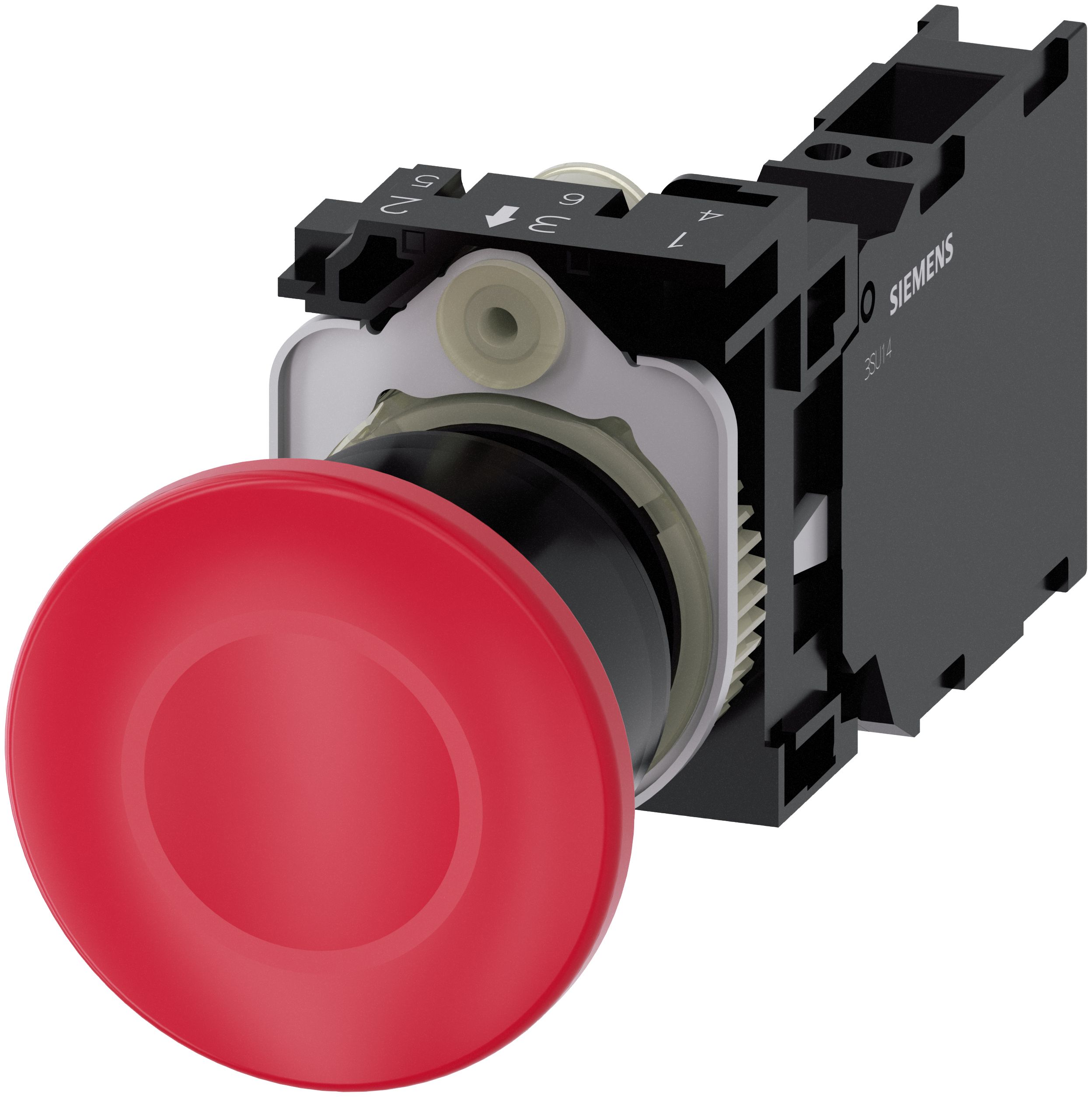 Krötenabdruck 22Mm Rund Pla Rot 1No1 40Mm Lay