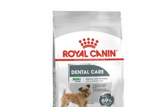 Royal Canin Mini Dental Care, Voksen, Enhver Race, Mini (5 - 10Kg), Fjerkræ, 3 Kg