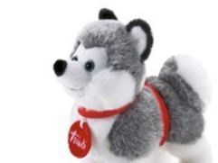 Trudi Husky, 0 Jahr(E)
