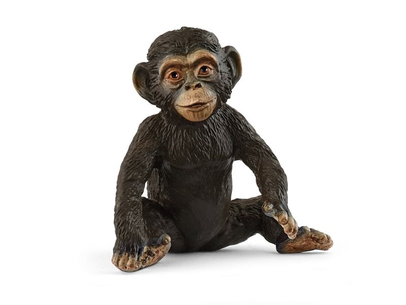 Schleich Wild Life Schimpansen Junges, 3 Jahr(E), Jungle, Wild Animals / Adventure Toys, Mehrfarbig