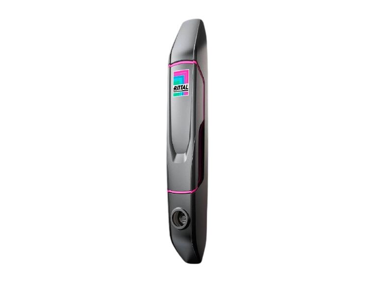 Rittal 8618.201, Türklinke, Zink, Schwarz, Pink, 1 Stück(E), 660 G