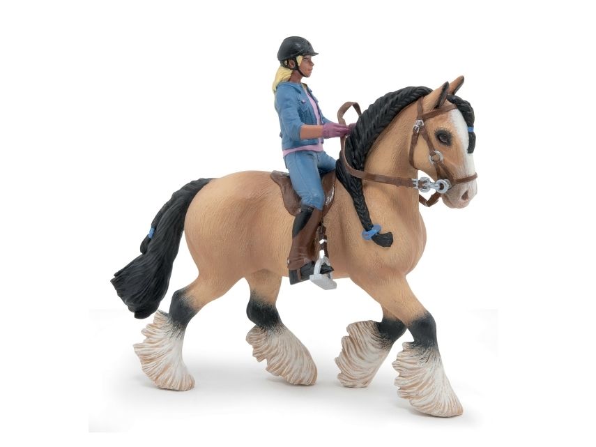 Tinkerpferd Mit Junger Reiterin