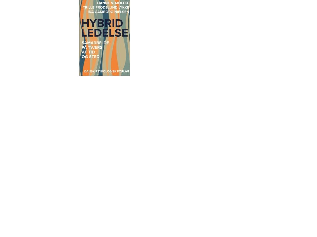 Hybrid Ledelse | Hanne V. Moltke, Trille Frodelund Lykke, Ida Gamborg Nielsen | Sprache: Dänish