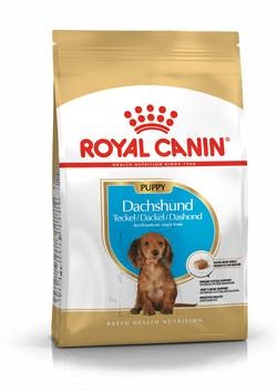 Royal Canin Dachshund Puppy 1.5Kg, Welpe, Dackel, Reis, Gemüse, 1,5 Kg