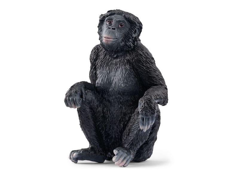 Schleich Wild Life Bonobo Weibchen, 3 Jahr(E), Schwarz, Kunststoff