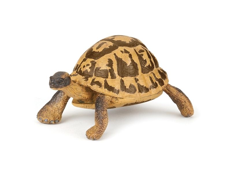 Papo Herman's Turtle
