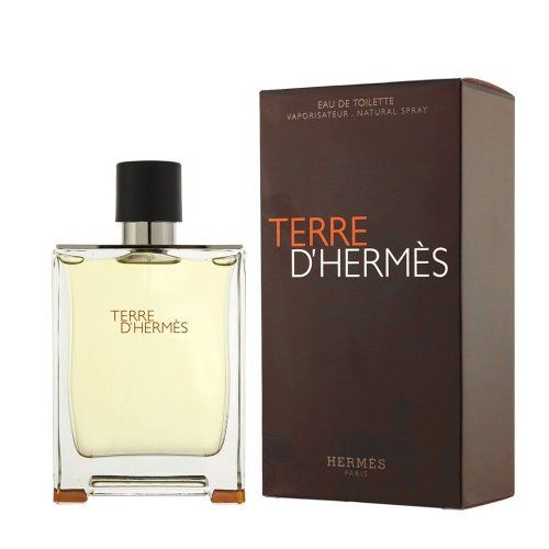 Hermes Terre D'Hermes Eau De Toilette Spray 100ml