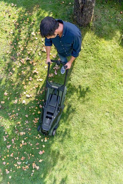 Bosch AdvancedRotak 36 V reservekniv  Ekstraudstyr - F016800505