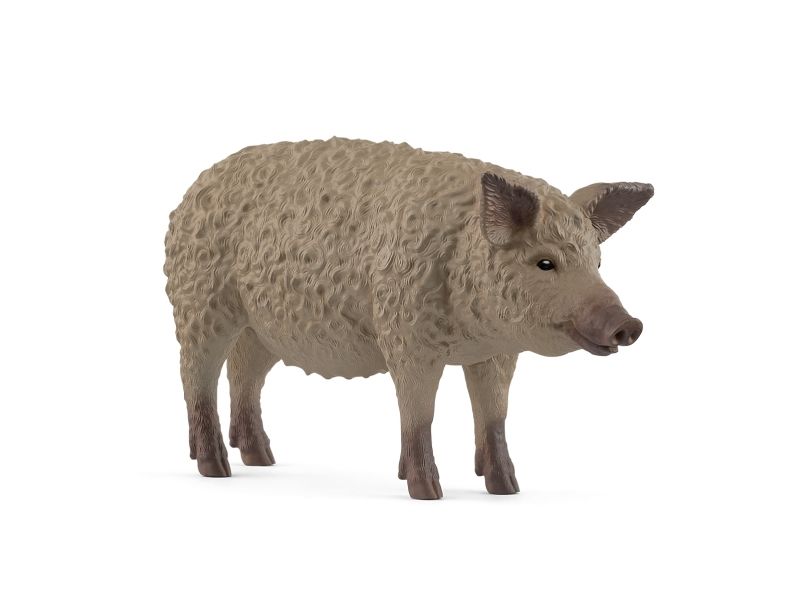 Schleich Mangalica
