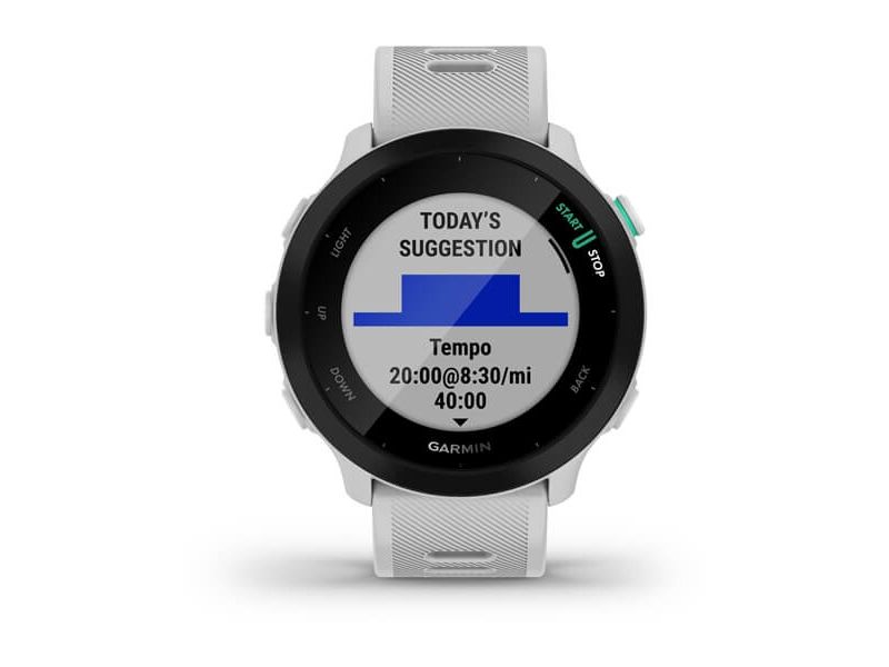 Garmin Forerunner 55 - Hvid - sportsur med bånd - silikone - hvid - display 1.04 - Bluetooth, ANT+ - 37 g