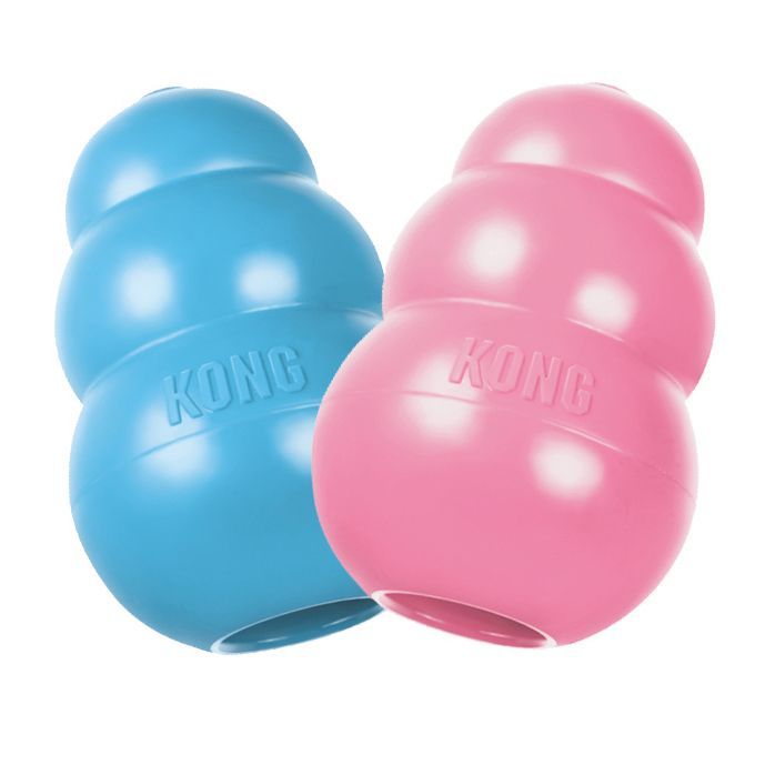 Kong Puppy M 8,6 Cm Blue Or Rose, Assorted