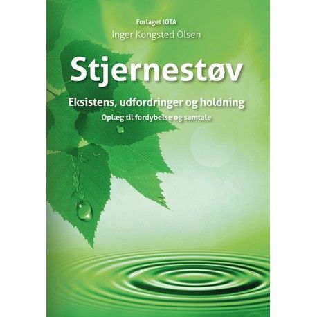 Stjernestøv | Inger Kongsted Olsen