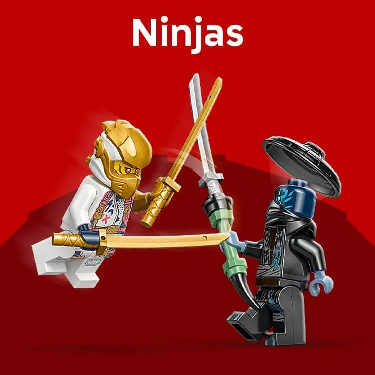 Ninjas
