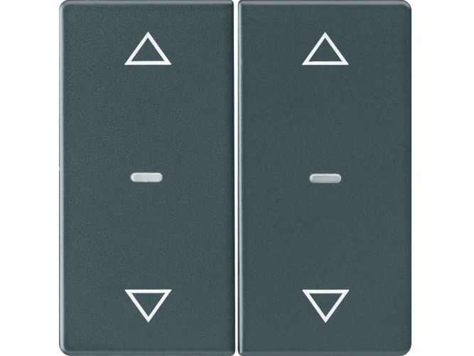 Berker 80961326, Knapskuffe, Antracit, Termoplast, Berker Q.X, 1 Stk