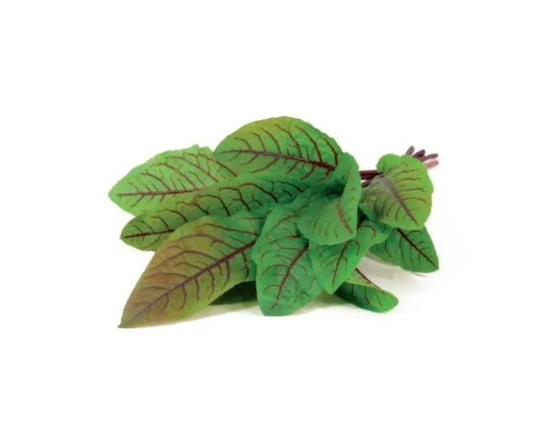 Click & Grow Bloody Sorrel, Ätlig växt, Röd ängssyra, Påfyllning, Snabbodlade (3-5 veckor), 7 - 14 dagar, 1 - 2 månad (er) | Smarta hem - Smart Klimatkontroll - Smart Garden | GameStuff