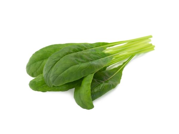 Click & Grow SGR74x3, Spiselig plante, Genopfyldning, Hurtig producent (3-5 uger), 14 dage, 2 måned(er), 18 - 30 °C