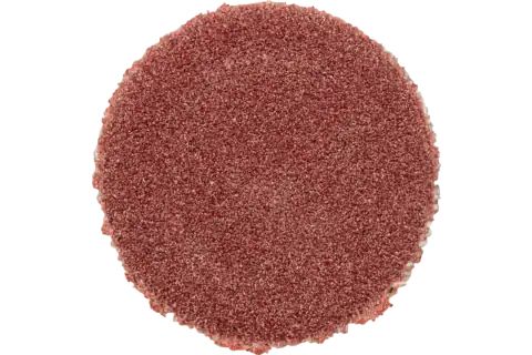 Pferd Self-Adhesive Abrasive Discs, 1,2 Cm, 100 Stk
