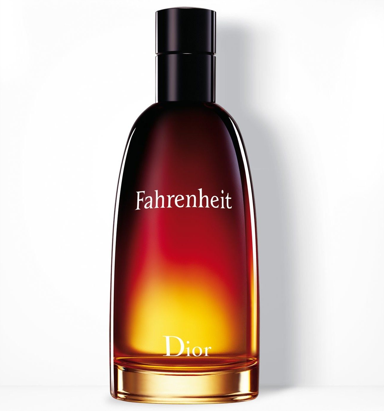 Christian Dior Fahrenheit Eau De Toilette Spray 100Ml