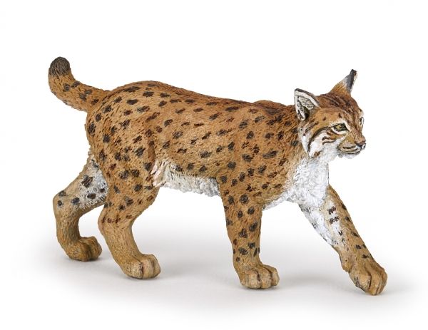Papo Luchs, 27 G