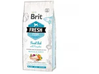 Brit Fresh Fish with Pumpkin Adult Large (12 kg)