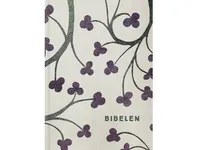 Bibelen med apokryfer